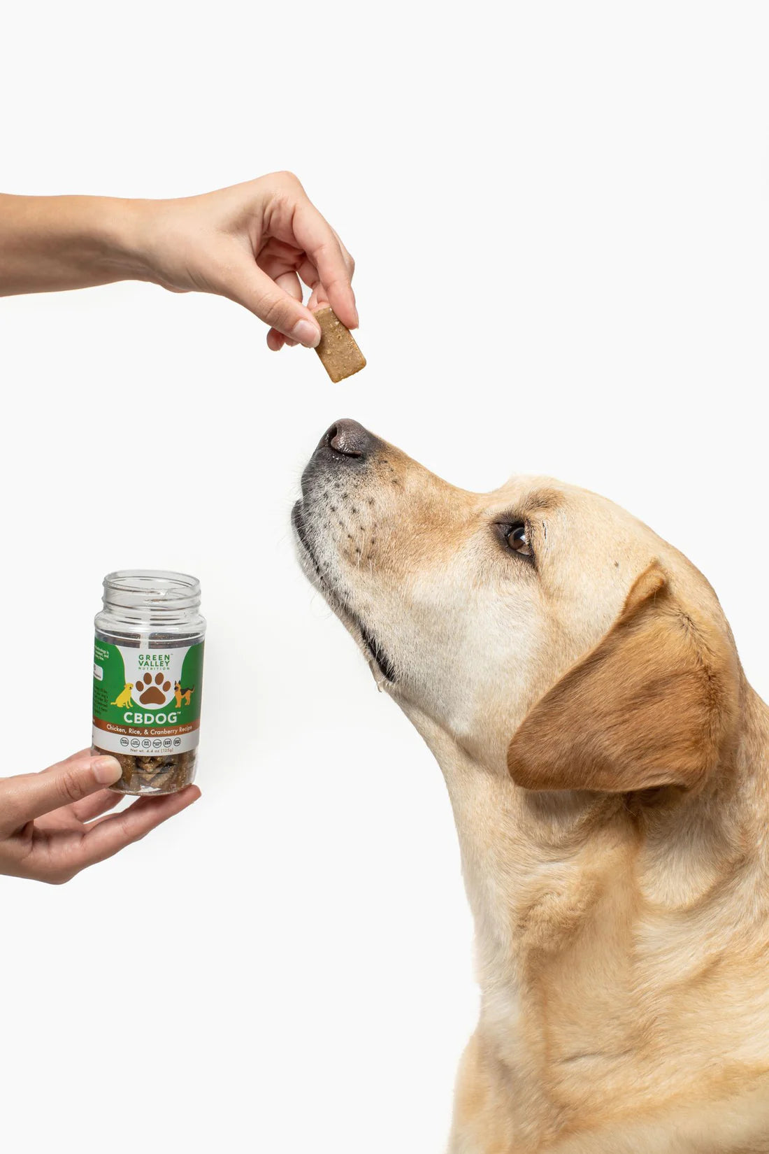 CBDog™ Treats Chicken, Rice, & Cranberry Recipe